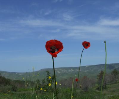 Прикрепленное изображение: 057.jpg